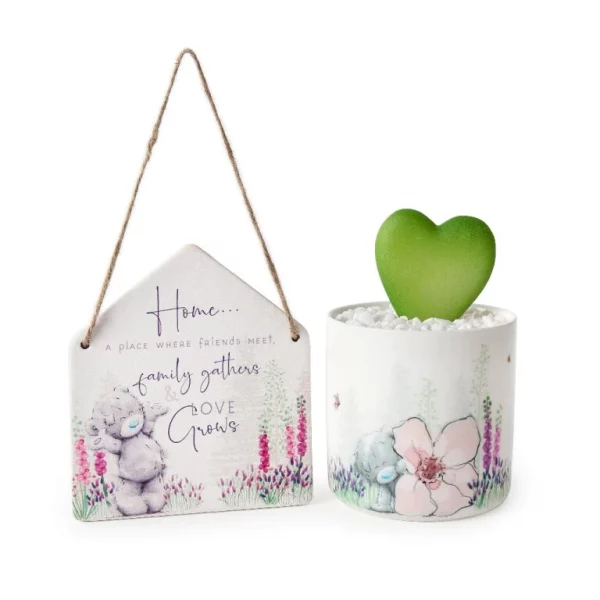 Me to You Faux Succulent and Plaque Gift Set