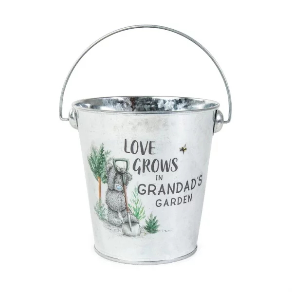 Me to You Father’s Day Tatty Teddy Plant Pot Gift Set
