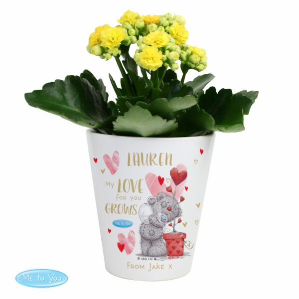 Personalised Me To You Hold You Forever Plant Pot